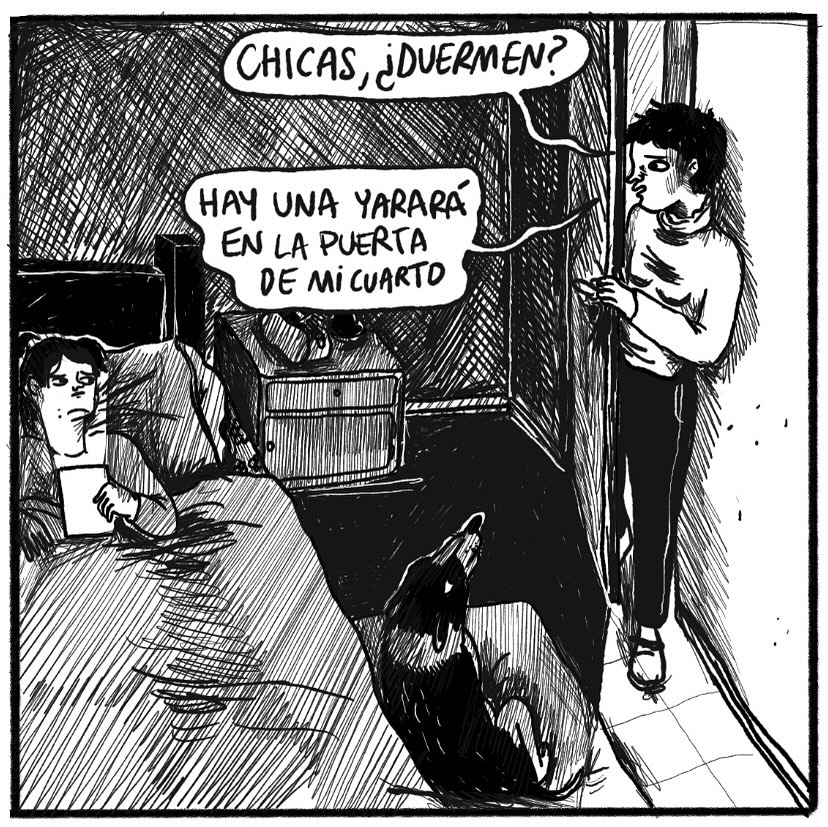 Un Diario en Historieta, fanzine autobiográfico de Flora Márquez